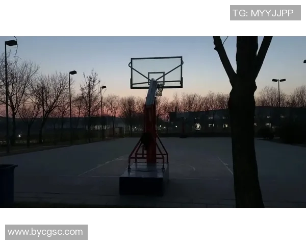 当篮球与摄影相遇，便诞生了艺术